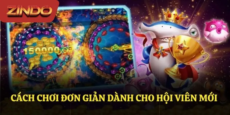 Cách chơi đơn giản dành cho hội viên mới