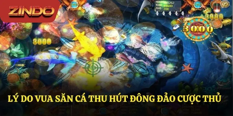 Vì sao nhiều cược thủ lại lựa chọn vua săn cá