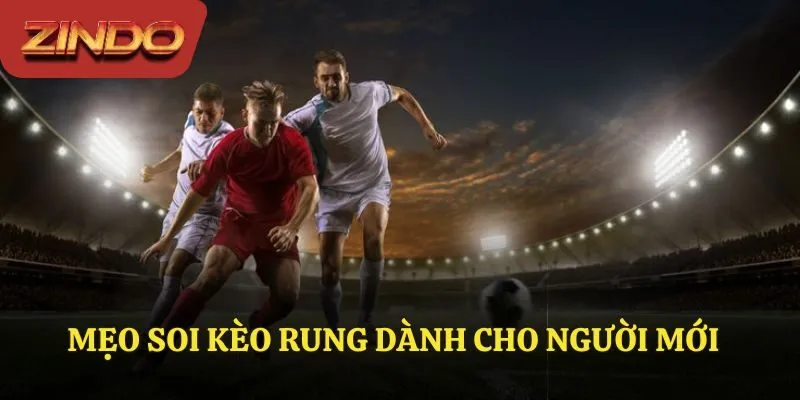 Mẹo hay khi tham gia kèo rung