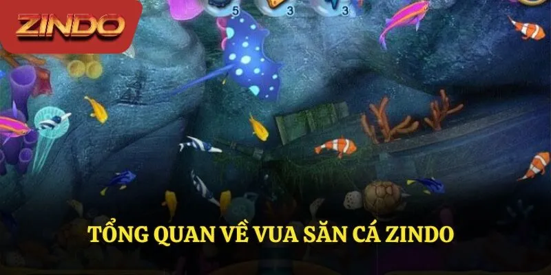 Tổng quan về Vua săn cá ZINDO