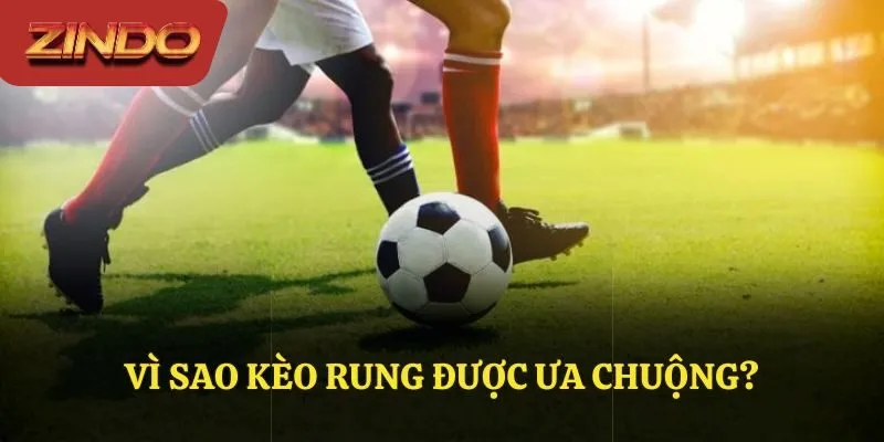 Lý do kèo rung được nhiều người yêu thích